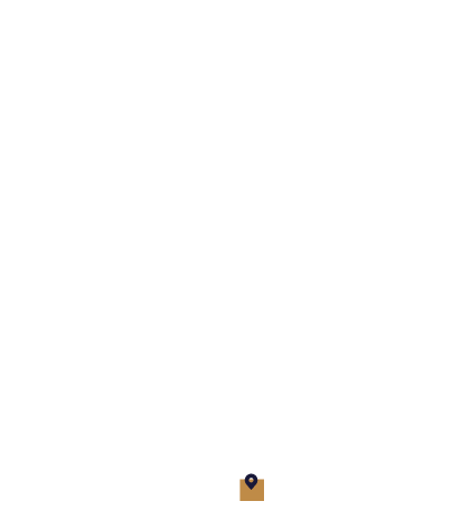 Map of Michigan with a pin